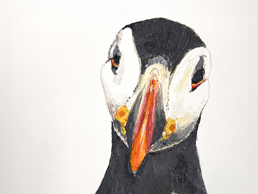 Puffin