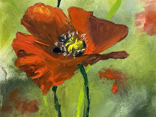 Poppy on Red