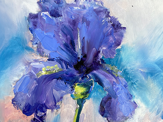 Iris